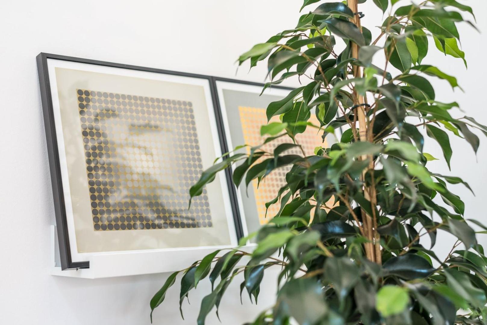 Guestready - Charming Studio In Porto! Eksteriør billede